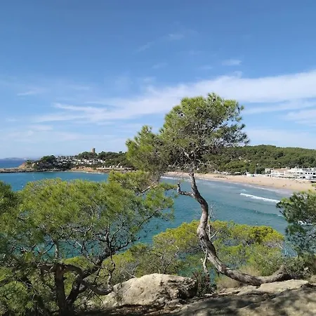 Flamante Tarragona