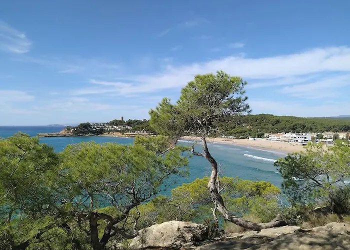 Flamante Tarragona